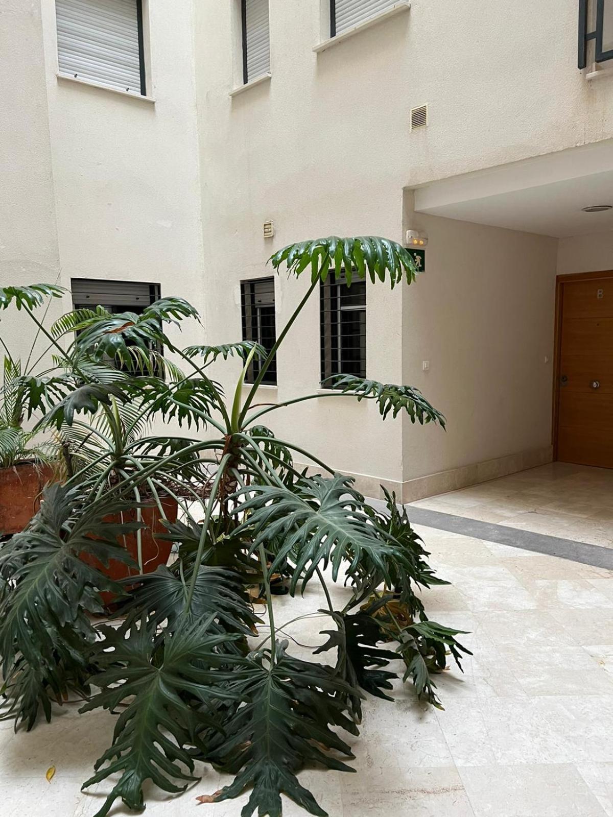 Habitaciones Privadas En Apartamento Compartido Algeciras Exterior foto